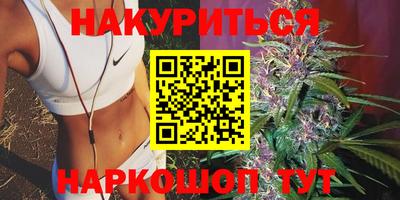 ГАЛЛЮЦИНОГЕННЫЕ ГРИБЫ Кингисепп