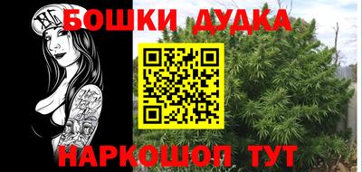 ГАЛЛЮЦИНОГЕННЫЕ ГРИБЫ Кингисепп